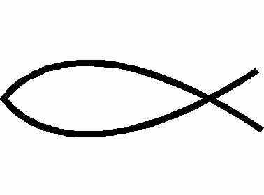look, a fish